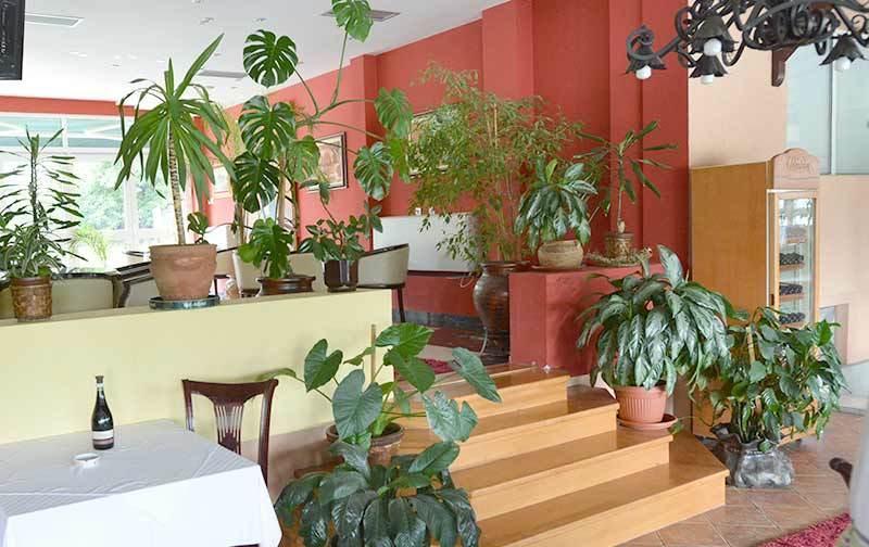 Motel Kneginja Čačak Dış mekan fotoğraf